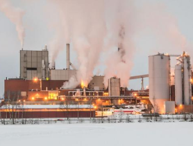 Целлюлоза & бумага